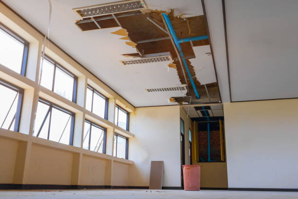 Best Water damage cleanup near me  in Farmersville, OH