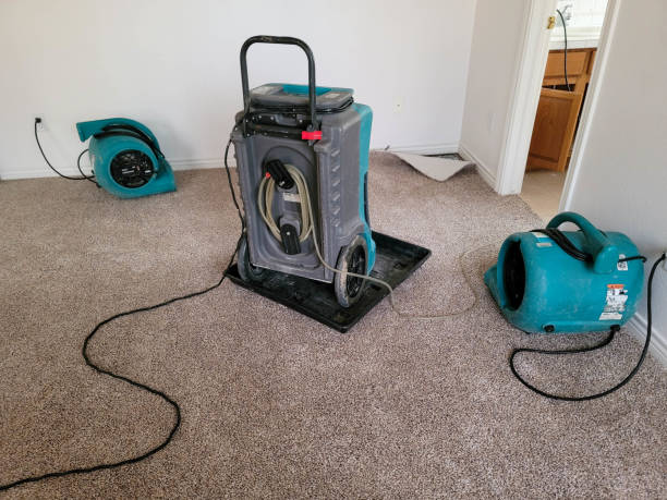 Best 24/7 water damage repair  in Farmersville, OH