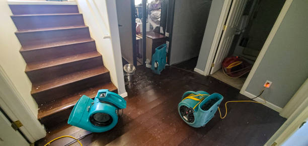 Best Flood damage cleanup  in Farmersville, OH