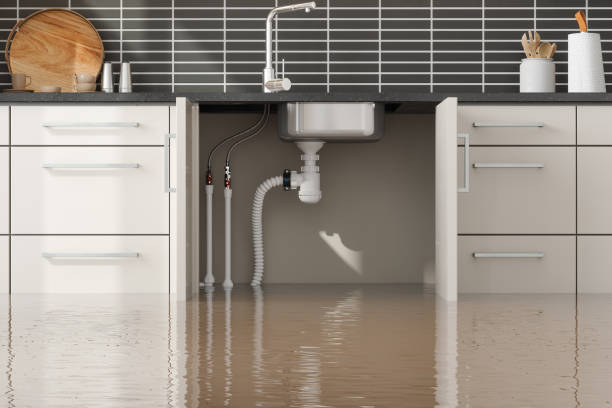Best Water damage restoration near me  in Farmersville, OH