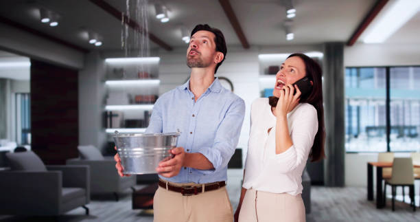 Best Commercial water damage restoration  in Farmersville, OH