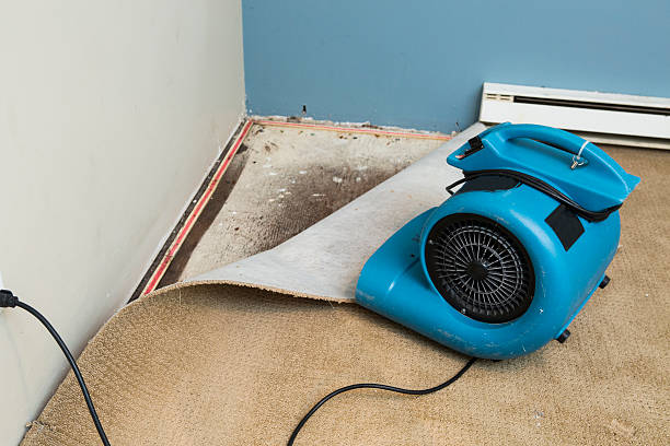Best Ceiling water damage repair  in Farmersville, OH